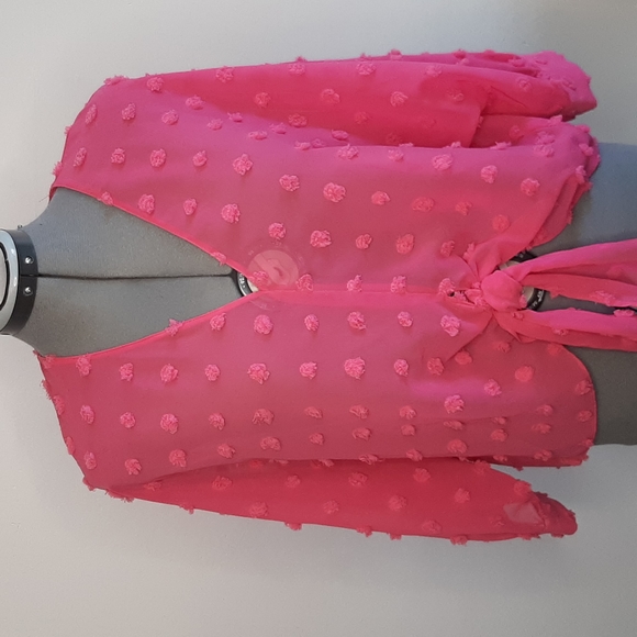 Xs pink sheer Zara shirt - Picture 1 of 5